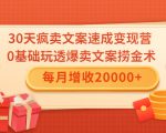 30天疯卖文案速成变现营，0基础玩透爆卖文案捞金术！每月增收20000+-沐风资源库
