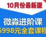微淼理财进阶课全套视频：助你早点实现财务自由，理论学习+案例分析+实操-沐风资源库
