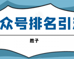 胜子老师微信公众号排名引流，微信10亿月活用户引流方法-沐风资源库