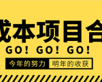 低成本零成本项目合集：赚钱快的慢的、暴利的，线上线下的，价值万元资料-沐风资源库