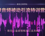 黄岛主·FM音频引流特训营2.0:独家引流模式,单账号50W+播放量,轻松变现-沐风资源库