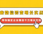 企业微信裂变增长实战课：带你搞定企业微信千万增长红利，新流量-新玩法-沐风资源库