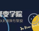 30天视频号成长营：视频号制作筹备+视频剪辑+视频号运营+引流变现-沐风资源库