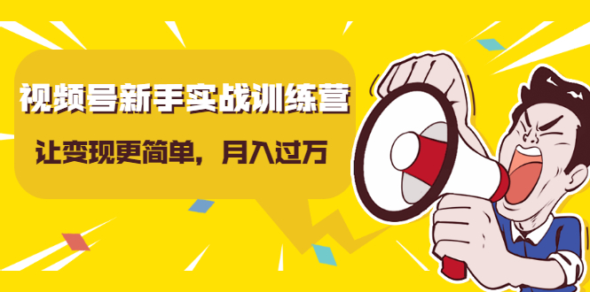 视频号新手实战训练营，让变现更简单，玩赚视频号，轻松月入过万-沐风资源库
