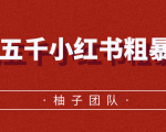 月入五千小红书粗暴赚钱玩法，适合上班族的赚钱副业-沐风资源库