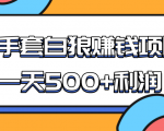 某团队收费项目：空手套白狼，一天500+利润，人人可做-沐风资源库