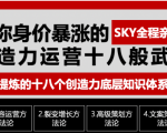 让你的身价暴涨的创造力运营十八般武艺 高度提炼的18个创造力底层知识体系-沐风资源库