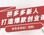 拼多多新人打造爆款创业课：快速引流持续出单，适用于所有新人-沐风资源库