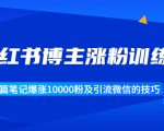 小红书博主涨粉训练营：一篇笔记爆涨10000粉及引流微信的技巧-沐风资源库