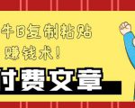 —牛B复制粘贴赚钱术！牛逼持久收入极品闷声发财项目，首发揭秘独此一家！-沐风资源库