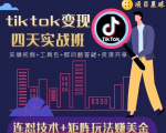 tiktok变现四天实战班，连怼技术+矩阵玩法赚美金！价值998元-沐风资源库