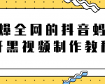 火爆全网的抖音“蚂蚁牙黑”视频制作教程，附软件【视频教程】-沐风资源库