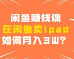 闲鱼赚钱课：在闲鱼卖ipad，如何月入3W？详细操作教程-沐风资源库