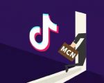 抖音MCN孵化课程，帮助商家拓客，帮助达人更好变现的课程，从0基础到超级IP-沐风资源库