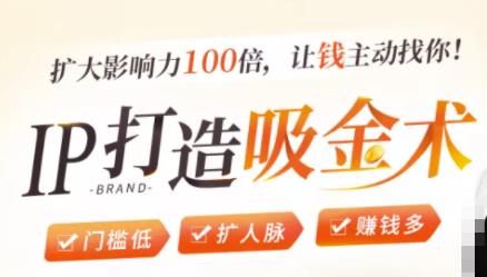IP打造吸金术：0基础0资源，也能扩大影响力100倍，让钱主动找你！-沐风资源库