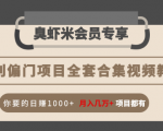 暴利偏门项目全套合集视频教程：你要的日赚1000+月入几万+项目都有-沐风资源库