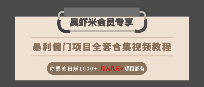 暴利偏门项目全套合集视频教程：你要的日赚1000+月入几万+项目都有-沐风资源库