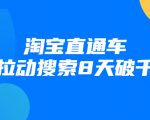 进阶战速课：淘宝直通车拉动搜索8天破千-沐风资源库