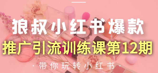 狼叔小红书爆款推广引流训练课第12期，手把手带你玩转小红书-沐风资源库