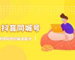 抖金必火学院·抖音同城号：带你玩转同城流量池，同城实体经济的机会来了-沐风资源库