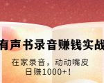 有声书录音赚钱实战：在家录音，动动嘴皮，日赚1000+！-沐风资源库