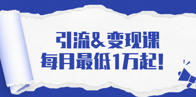 引流&变现课：分享一整套流量方法以及各个渠道收入，每月最低1万起！-沐风资源库