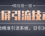 微信搜一搜霸屏引流技术，打造被动精准引流系统，轻松日引300+流量-沐风资源库
