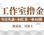 工作室撸金二件套：撸今日头条原创收益+小红书一单利润40块项目-沐风资源库