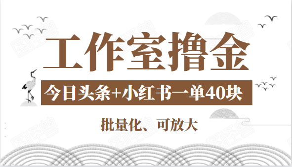 工作室撸金二件套：撸今日头条原创收益+小红书一单利润40块项目-沐风资源库