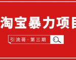 引流哥·第3期淘宝暴力项目：每天10-30分钟的空闲时间，有淘宝号，会玩淘宝-沐风资源库