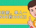 Paypal拉新赚美刀项目，单人一天利润500-1000刀【视频课程】-沐风资源库