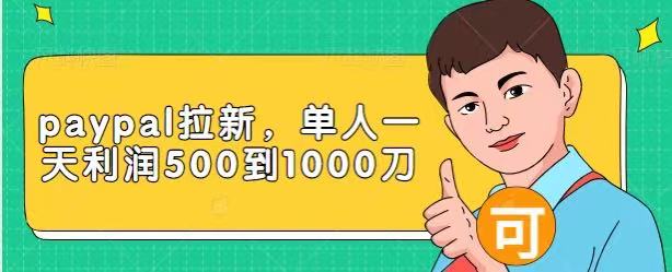 Paypal拉新赚美刀项目，单人一天利润500-1000刀【视频课程】-沐风资源库