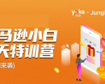 雨课·亚马逊小白特训营第9期 跨境电商挺赚钱的 有朋友已经月入几十万美金-沐风资源库