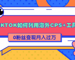详细解析TIKTOK如何利用海外CPS+工具0粉丝轻松变现月入过万-沐风资源库