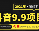 抖音9.9课程项目，没粉丝也能卖课，一天300+粉易变现-沐风资源库