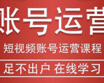 短视频账号运营课程：从话术到短视频运营再到直播带货全流程，新人快速入门-沐风资源库