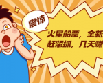 火星船票，全新风口赶紧抓，几天赚一万+摆地摊卖尾货月入一万（5个项目）-沐风资源库