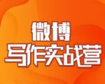 村西边老王·微博超级写作实战营，帮助你粉丝猛涨价值999元-沐风资源库