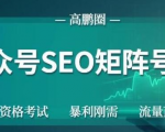 高鹏圈公众号SEO矩阵号群，实操20天纯收益25000+，普通人都能做-沐风资源库