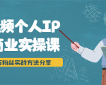 短视频个人IP商业实操课，百万粉丝实战方法分享，小白也能实现流量变现-沐风资源库