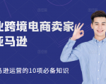 职业跨境电商卖家聊亚马逊：亚马逊运营的10项必备知识，12堂课让你看懂亚马逊运营-沐风资源库