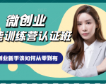 微创业全能训练营认证班课程，从理论知识与实际案例手把手指导创业新手如何从零到有-沐风资源库