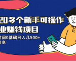 20多个新手可操作的副业赚钱项目：业余时间0基础日入几500+实操分享-沐风资源库