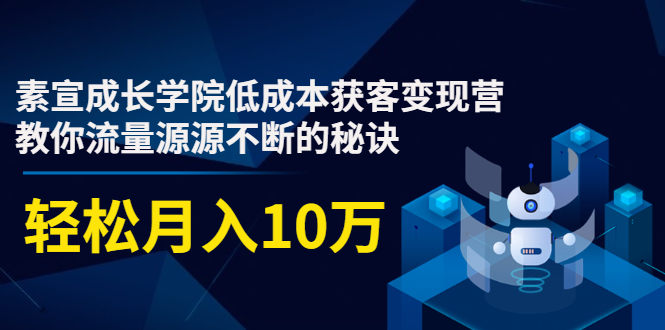 素宣成长学院低成本获客变现营，教你流量源源不断的秘诀，轻松月入10万-沐风资源库