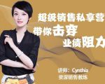 有料识堂·超级销售私享课，解密顶级销售的套路打法助你升级销冠-沐风资源库