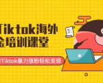 最新Tiktok海外掘金培训课堂：带你玩转Tiktok暴力涨粉轻松变现-沐风资源库