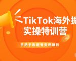 TikTok海外掘金实操特训营：手把手教运营变现赚钱-沐风资源库