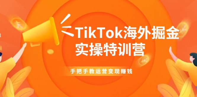 TikTok海外掘金实操特训营：手把手教运营变现赚钱-沐风资源库