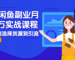 2021闲鱼副业月入过万实战课程：从开店到选择货源到引流，全程实战教学-沐风资源库