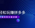 带你轻松玩赚拼多多：花的少 赚的多 爆款更简单 爆款打造流程实操讲解-沐风资源库